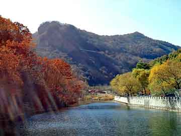 新澳天天开奖资料大全旅游团，王祖贤林建岳